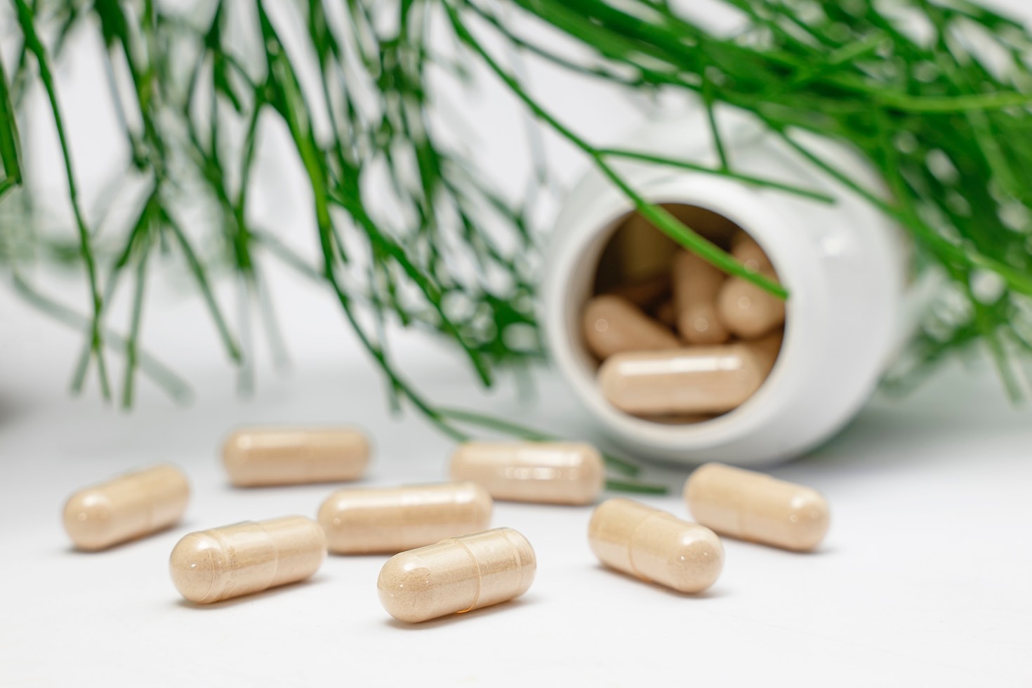 Moringa Magic: A Superfood Explored